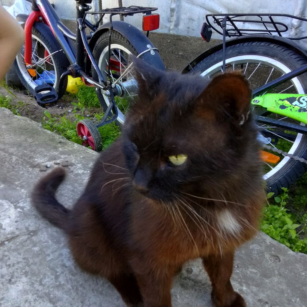 Иконка канала Роберт Дима