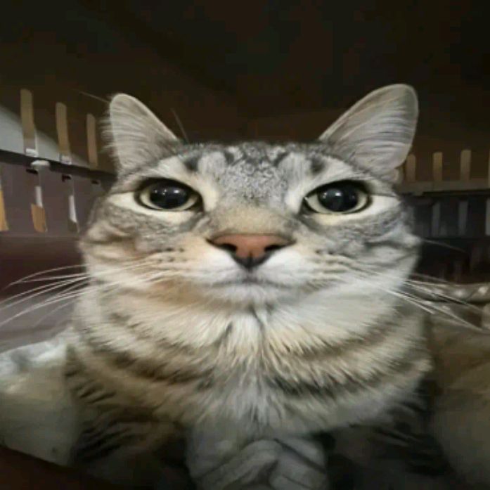 Аватар
