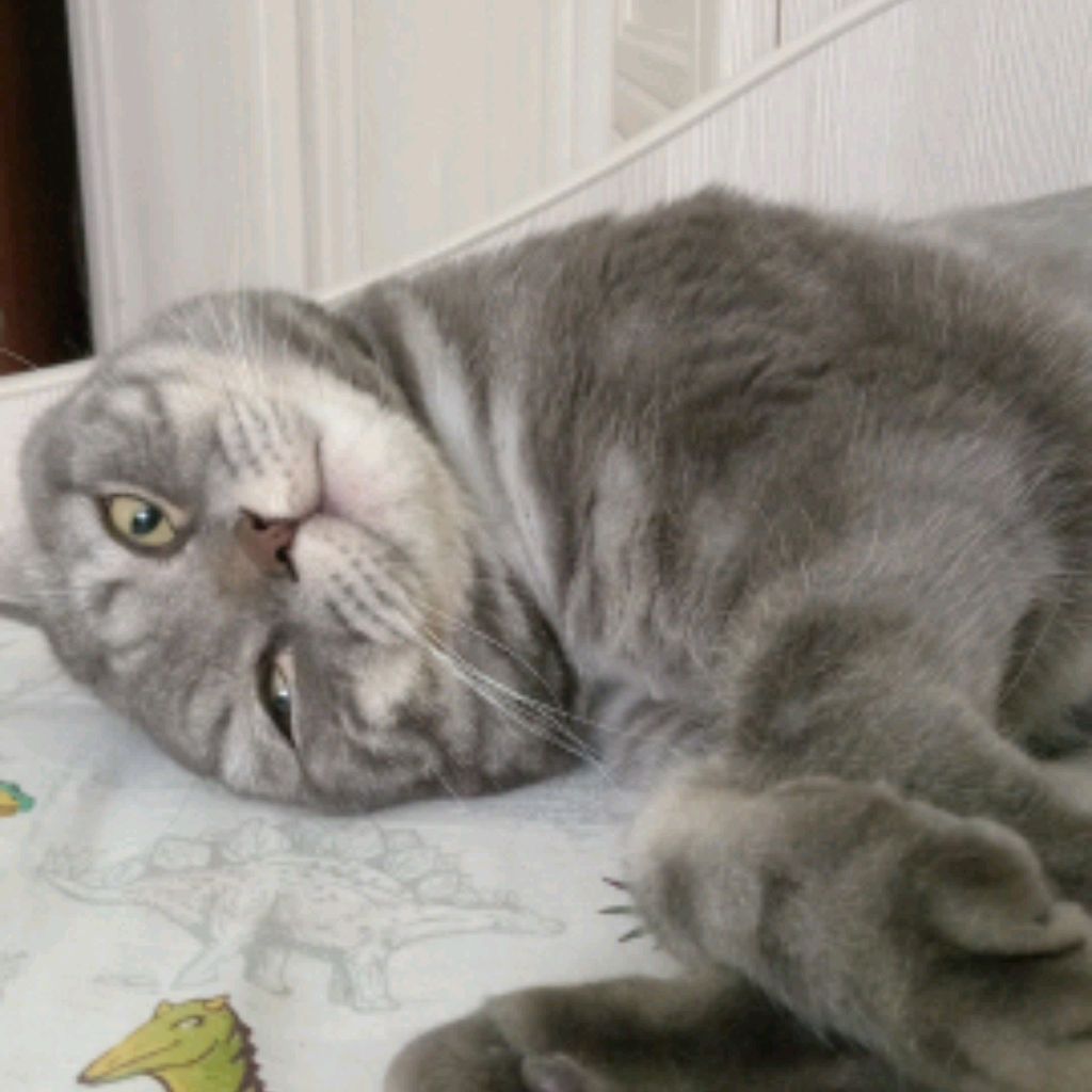 Иконка канала memes877