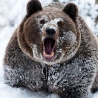 Иконка канала MishkaGames