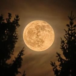 Иконка канала Зеркала ИИ