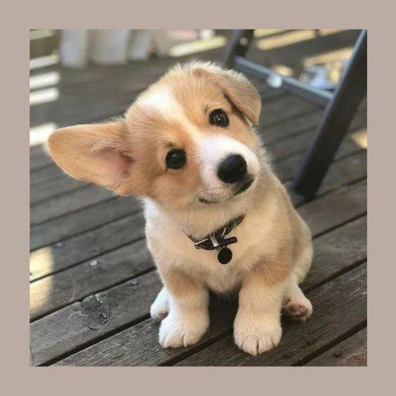 Иконка канала Лайфхаки для геймеров