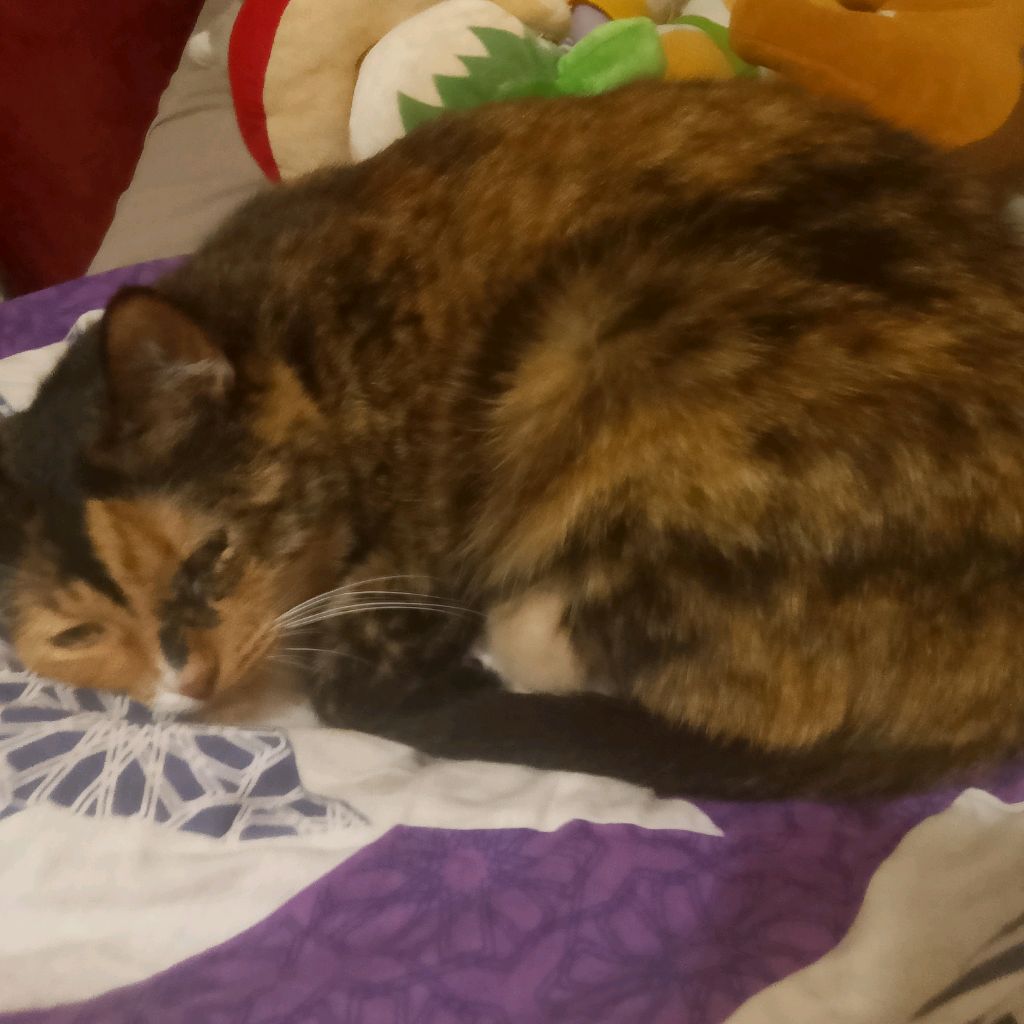 Иконка канала Артём