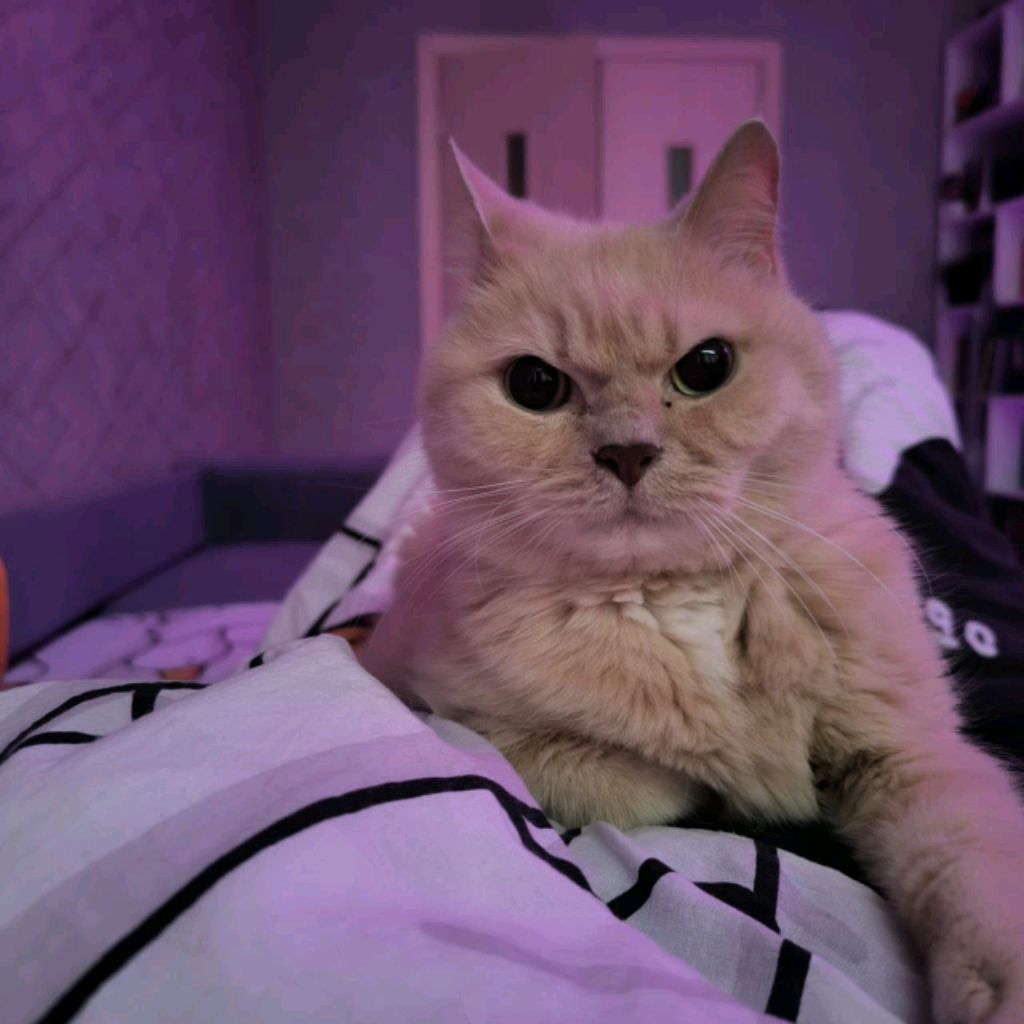 Иконка канала Баржер