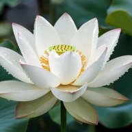 Иконка канала B.Helen.Ark