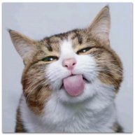 Иконка канала 😻Агата Дыцевич 😻