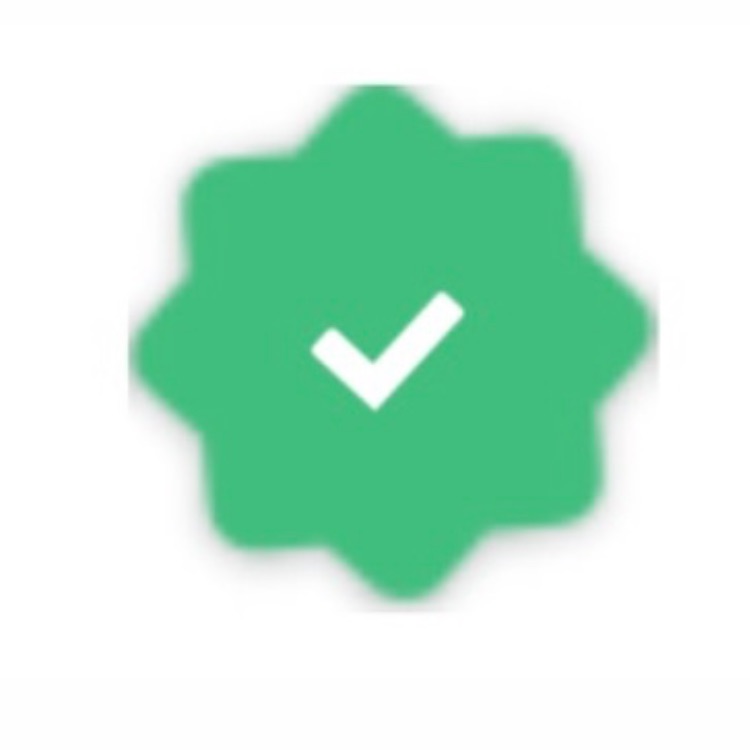 Иконка канала SAHIH INVEST