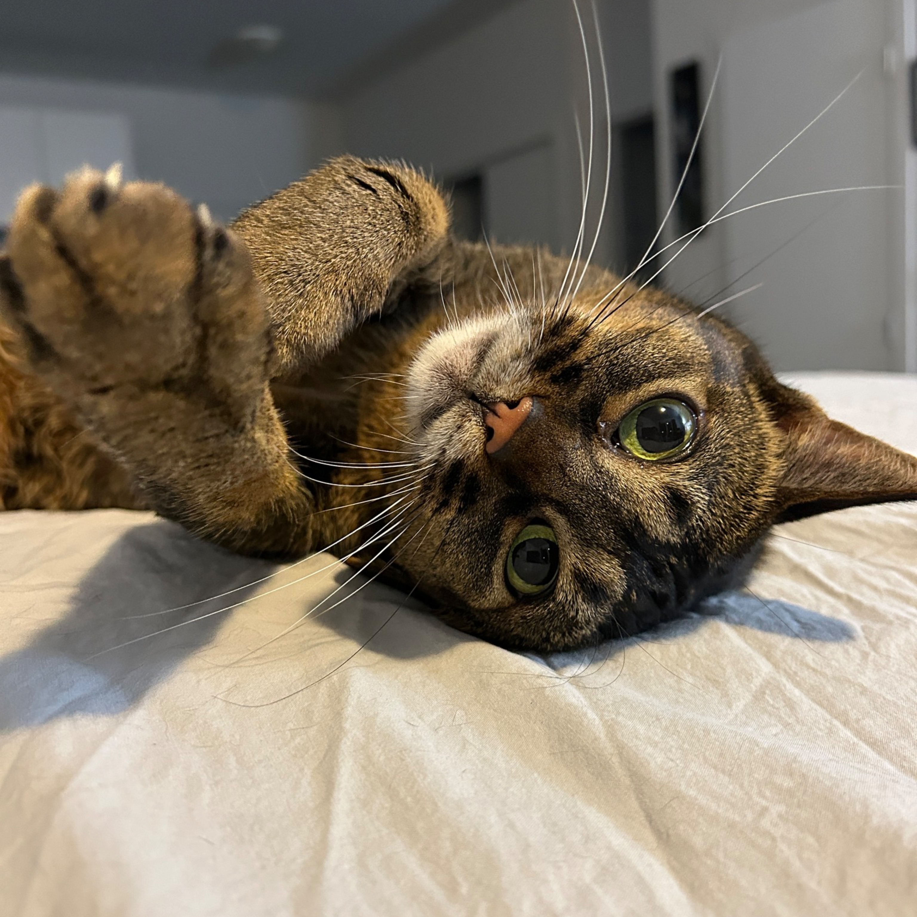 Иконка канала Atease