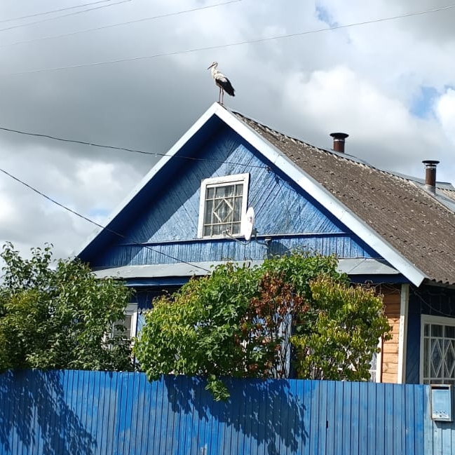 Иконка канала Дом на Заречной улице