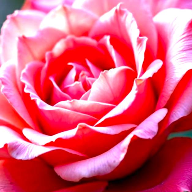 Иконка канала Volshebstvo AI