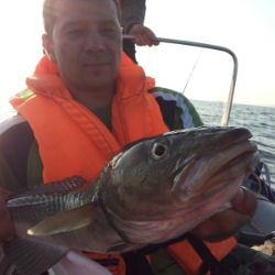 Иконка канала gudim73@mail.ru