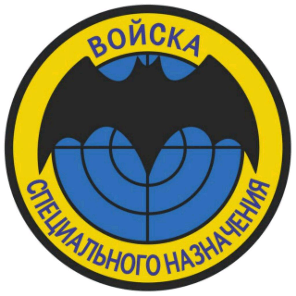 Иконка канала Анатолий Одинцов