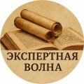 Иконка канала Экспертная волна