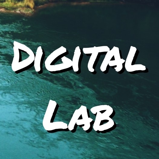 Иконка канала DiLab