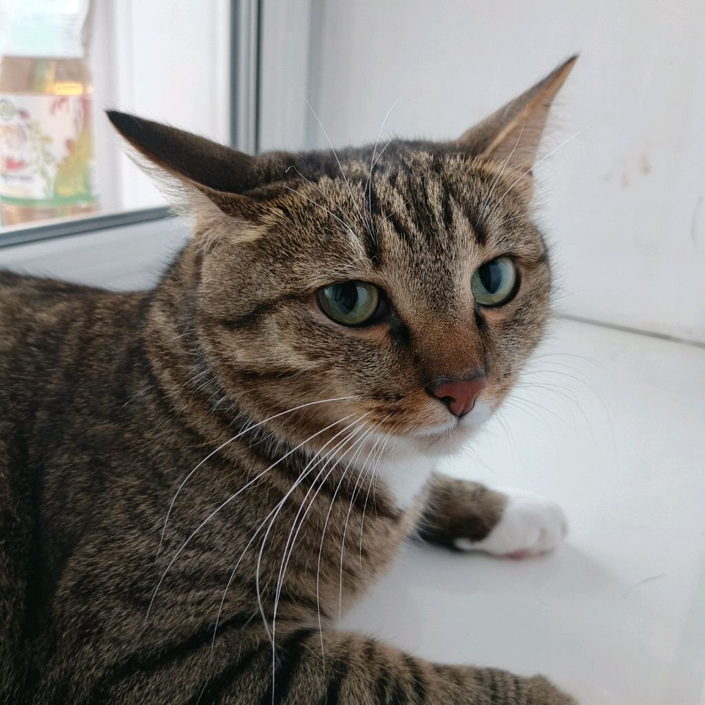 Иконка канала Демидыч