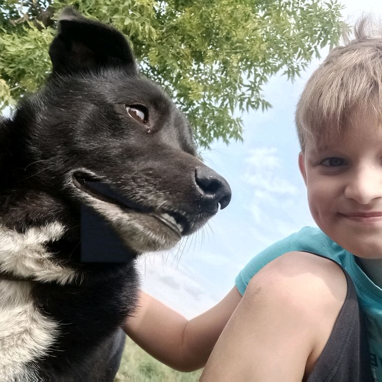 Аватар