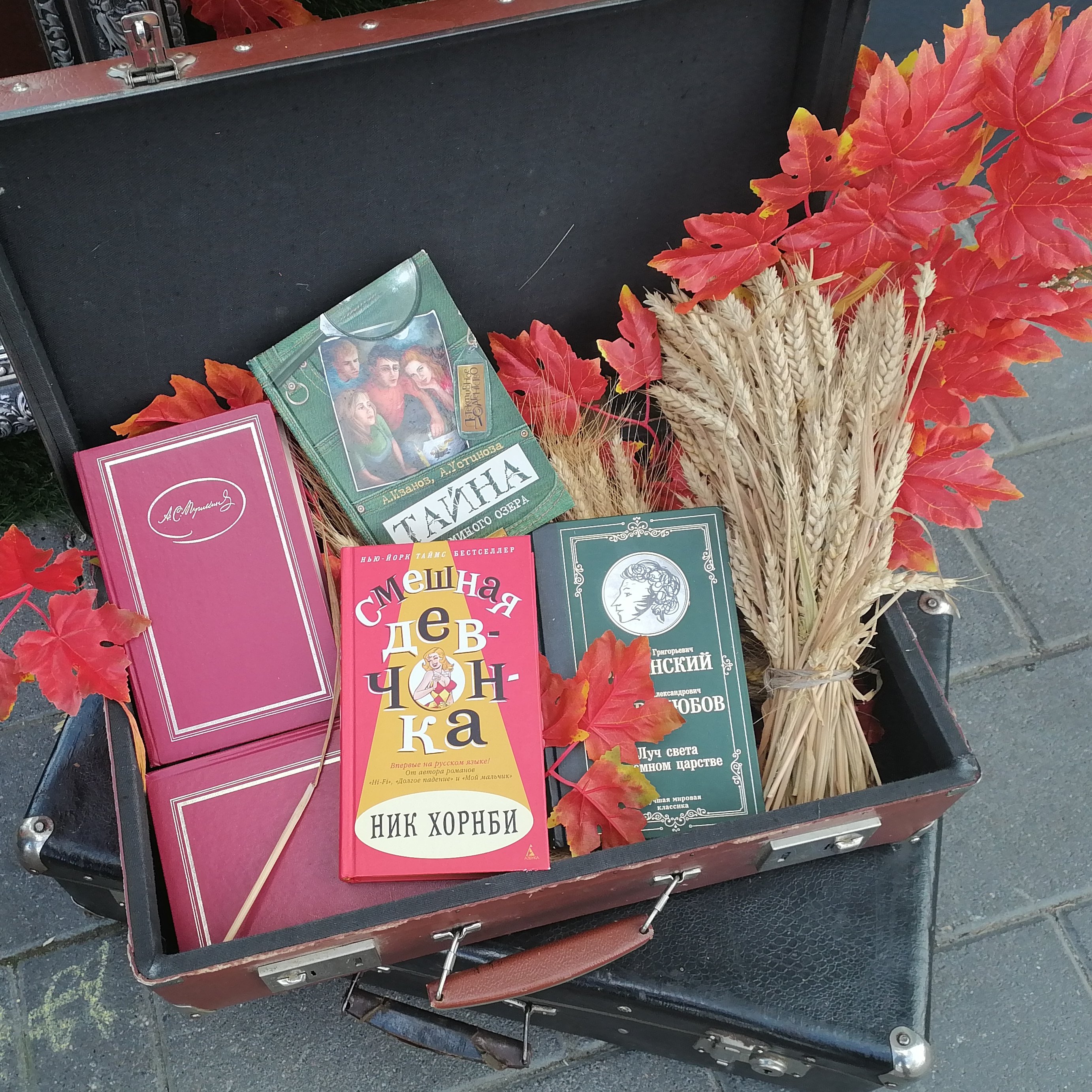 Иконка канала Света Сью 🌷💝