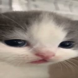 Иконка канала DEFFIKS