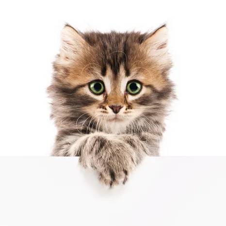 Иконка канала Free World