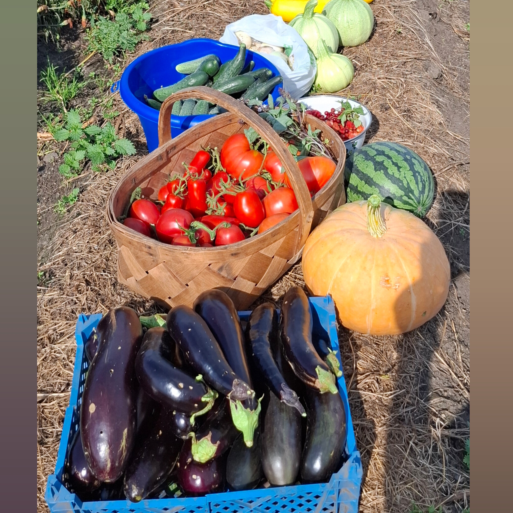 Иконка канала От рассвета до заката