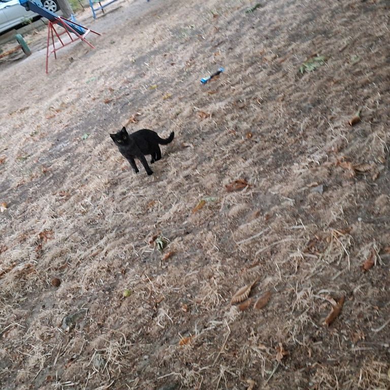 Иконка канала channel54896582