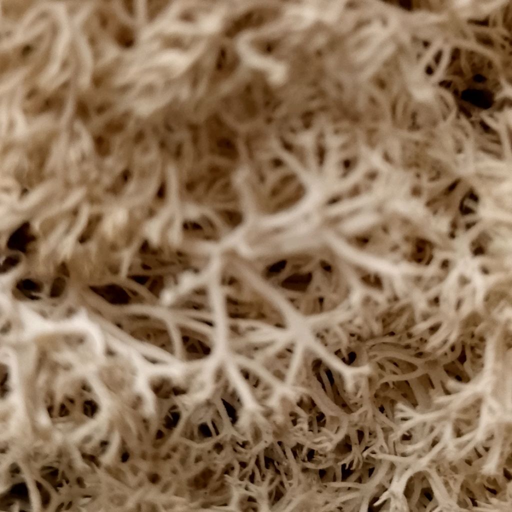 Иконка канала Природа и Поделки