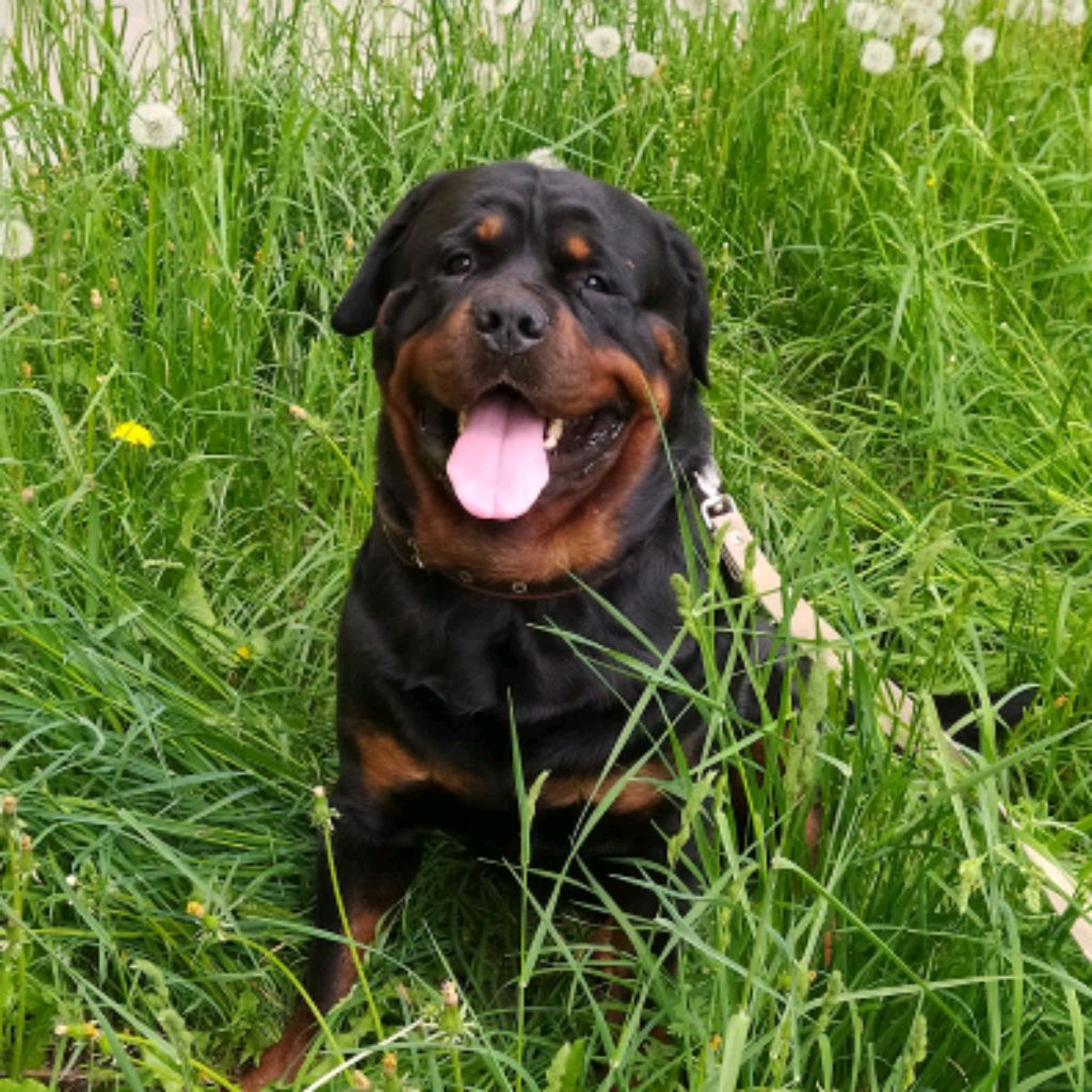 Иконка канала Буськина Мать