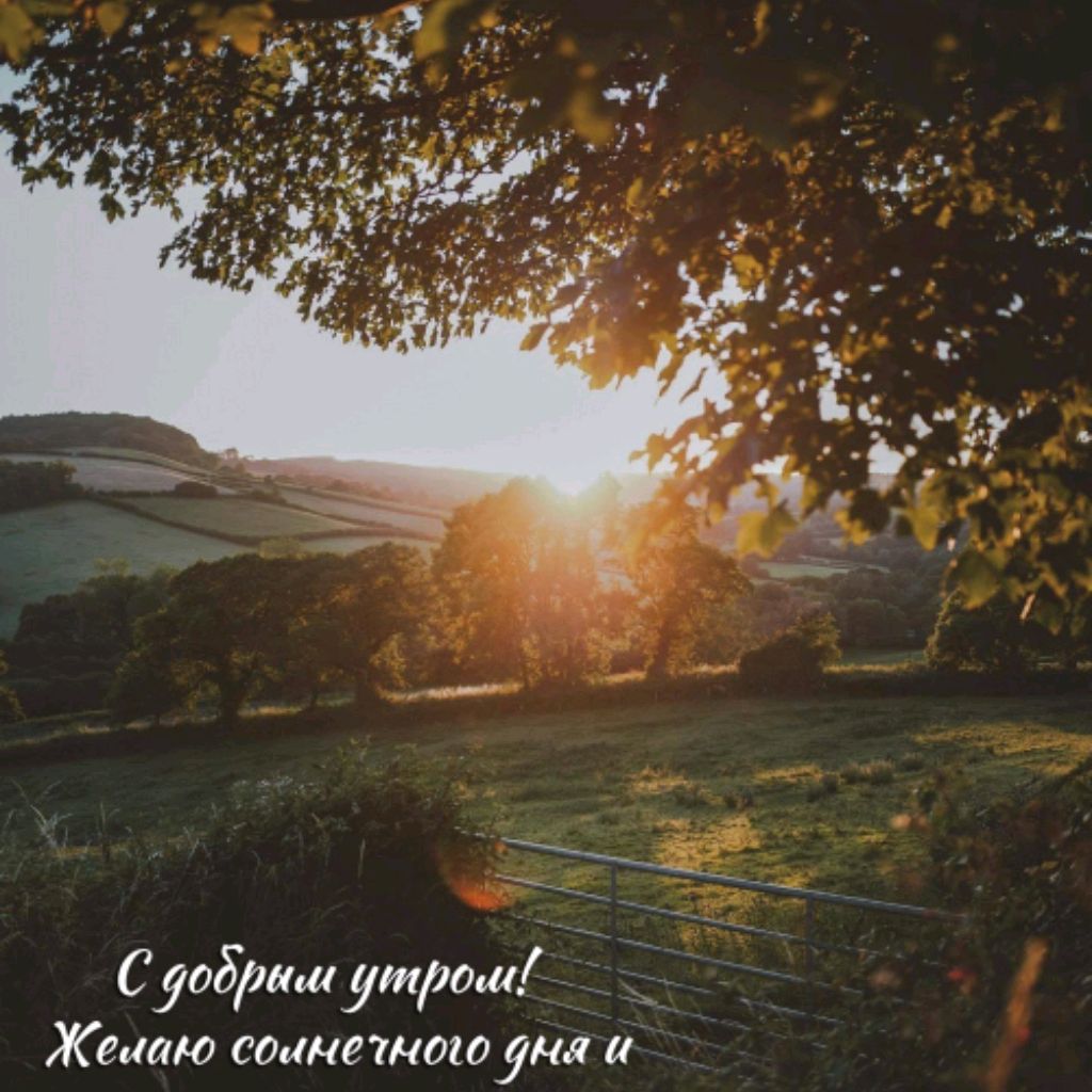 Иконка канала trENd