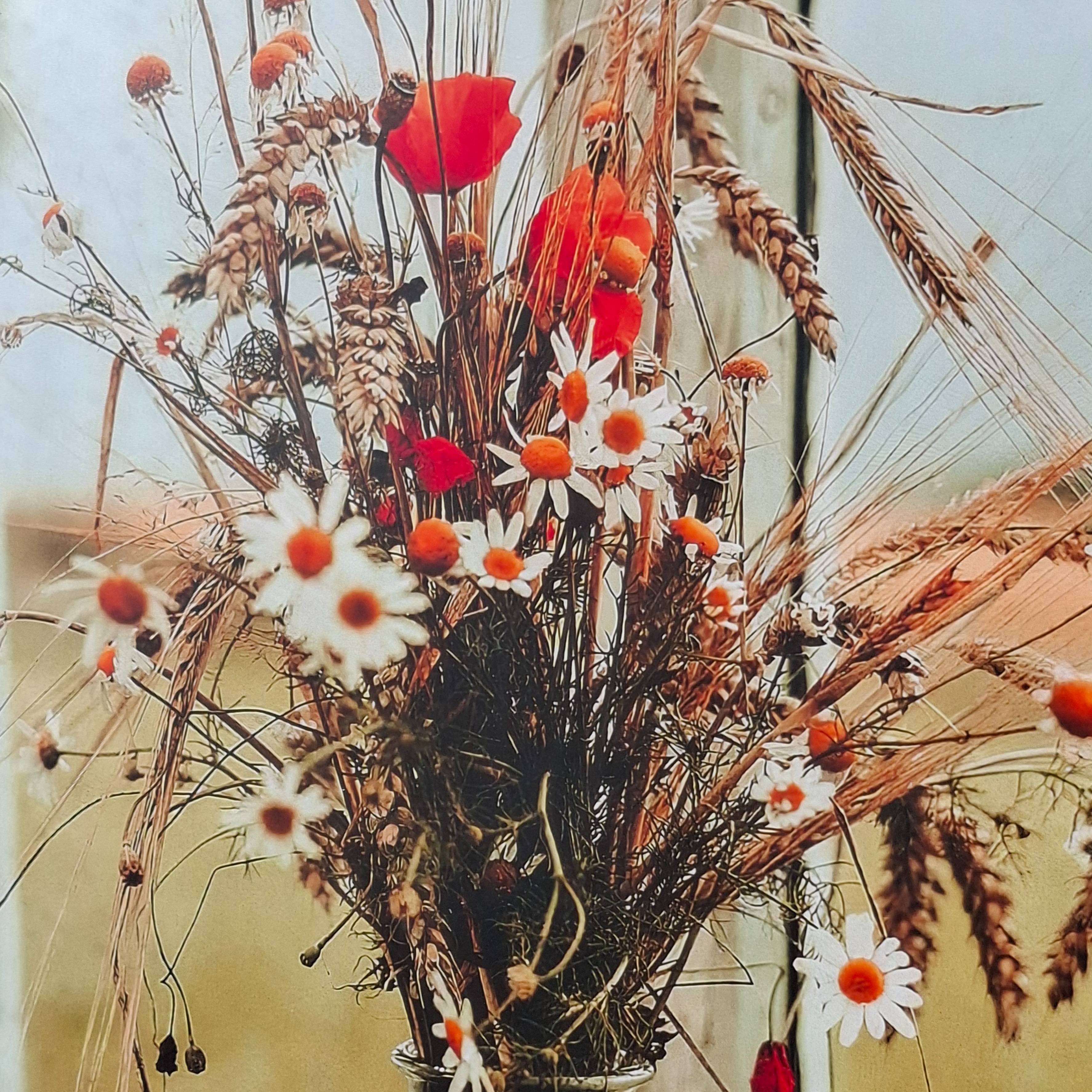 Иконка канала My Cozy Home