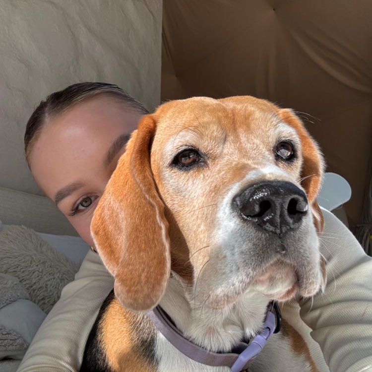 Иконка канала monya_beagle