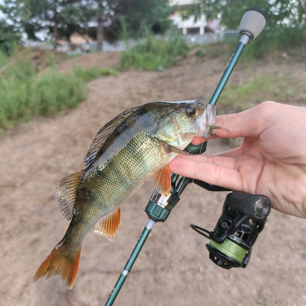 Иконка канала Рыболов 64