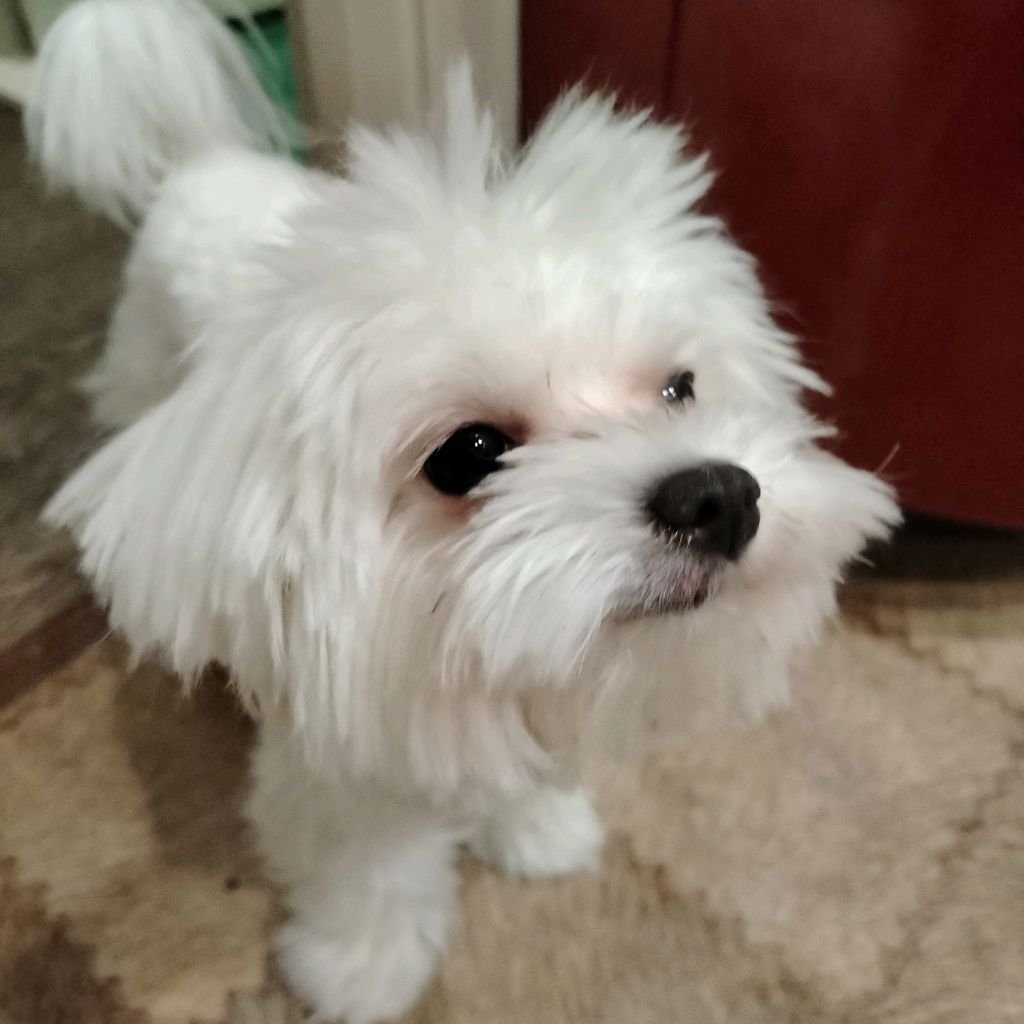 Иконка канала Боня и игры