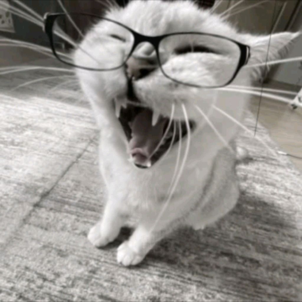 Иконка канала channel57708041