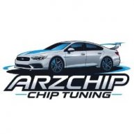 Иконка канала Чип-Тюнинг в Арзамасе ArzChip