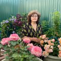 Иконка канала Садовая Терапия с Ириной