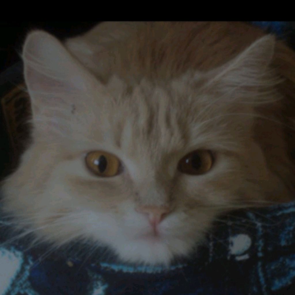 Иконка канала Я ЛЕНА!!!