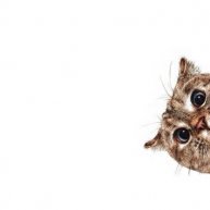 Иконка канала channel70014219