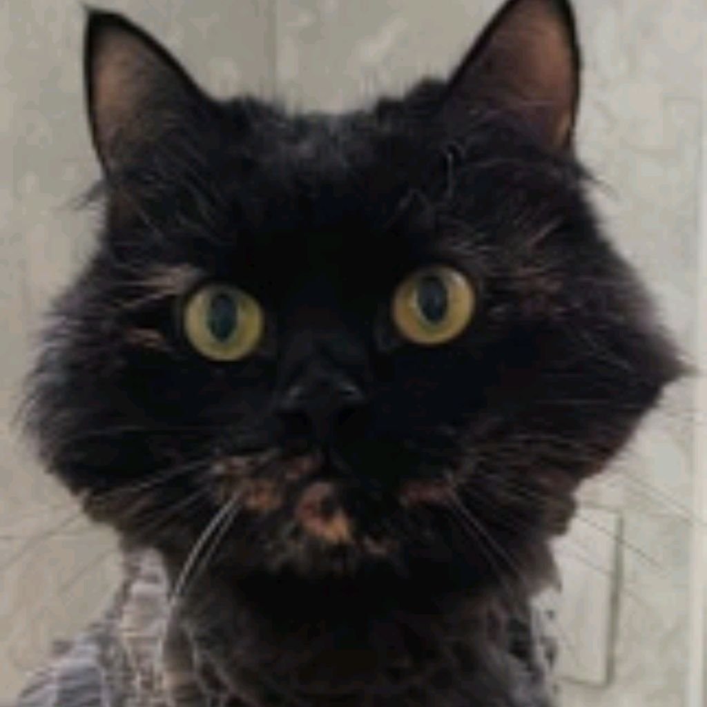 Иконка канала Всё сам, всё сам...