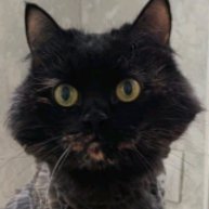 Иконка канала Всё сам, всё сам...