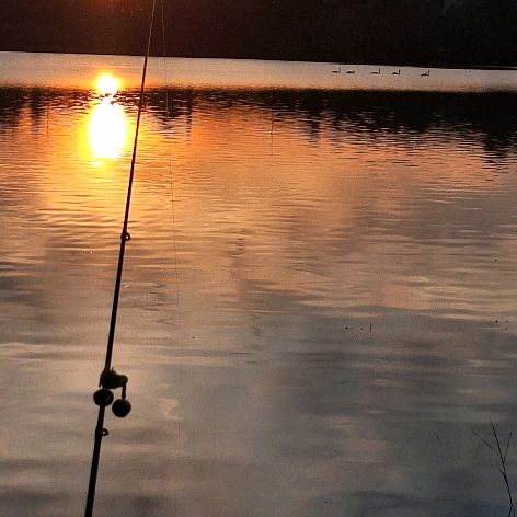 Иконка канала Всё сама...Всё сама:)