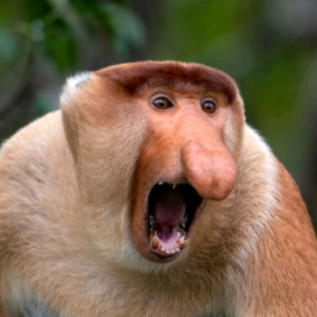 Иконка канала Дун Дук