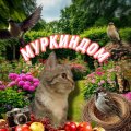 Иконка канала Муркиндом