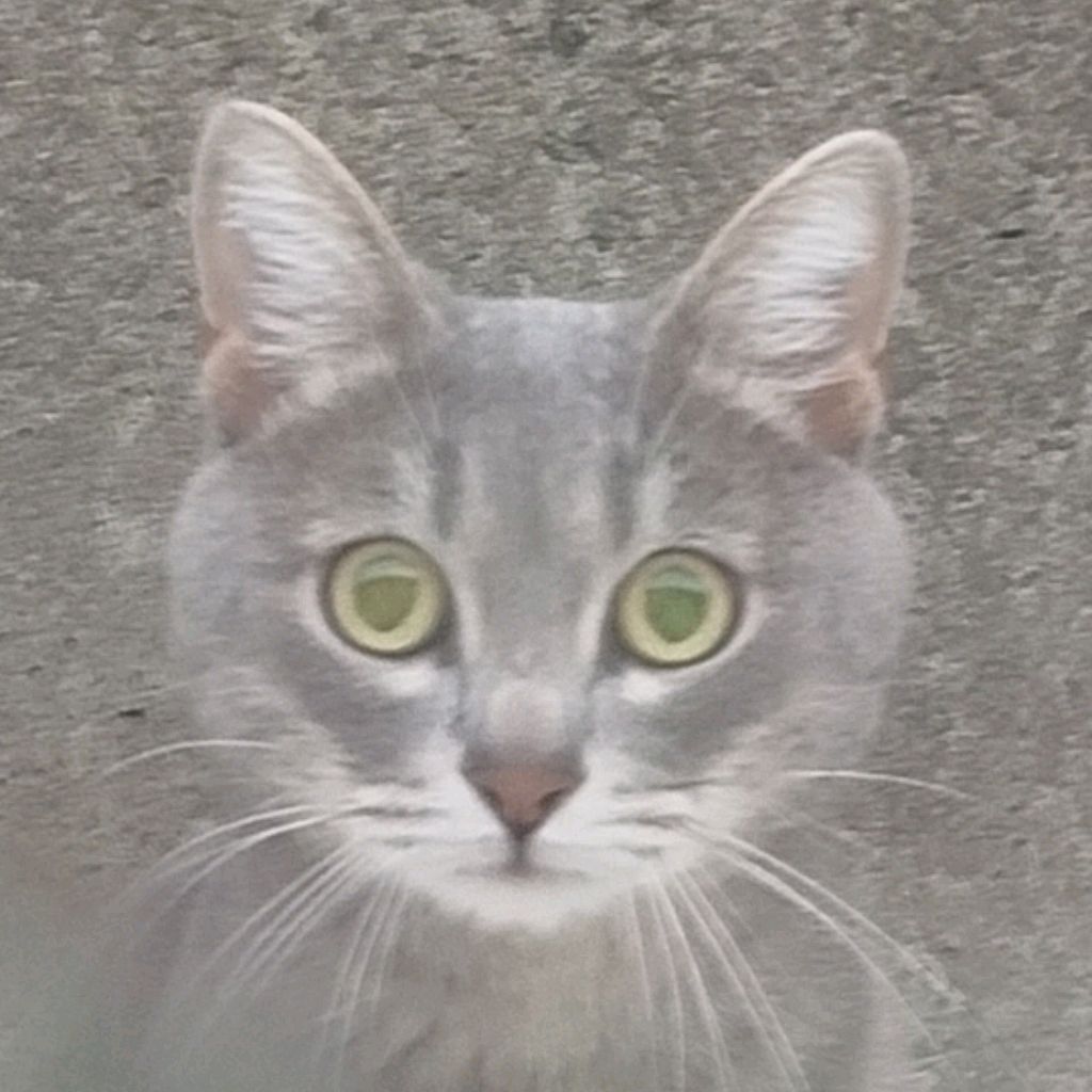 Иконка канала Staz Dfr