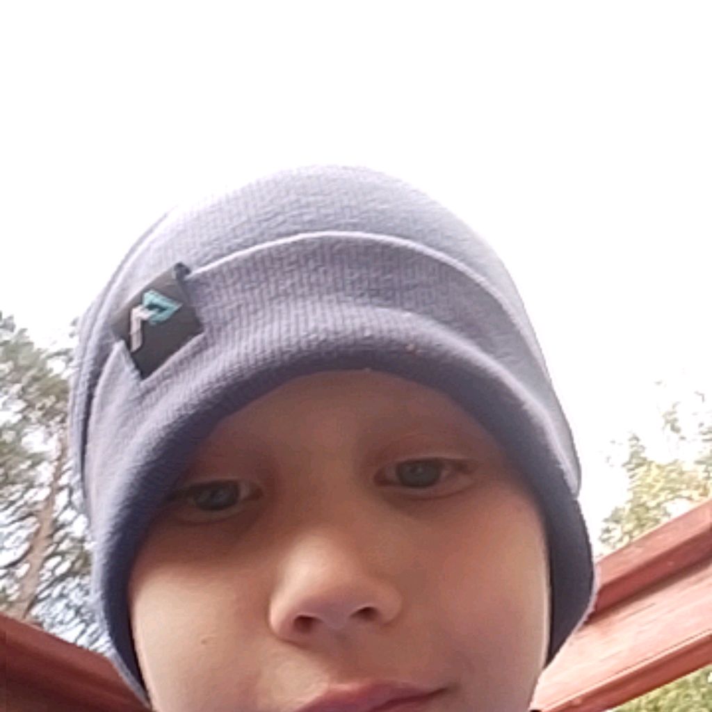 Иконка канала Лев 34658