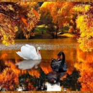 Иконка канала Исповедь_души