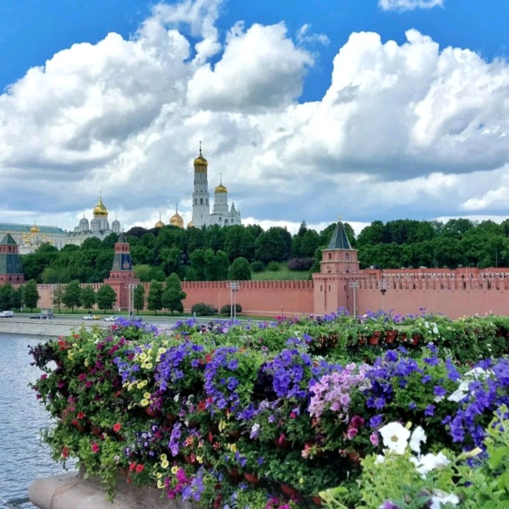 Иконка канала BOSS💪