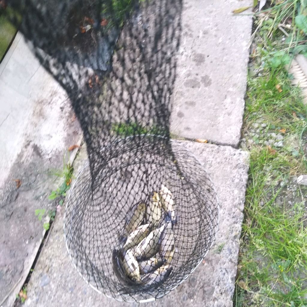 Иконка канала Рыболов Тимофей 666