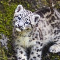 Иконка канала Мирон Плей