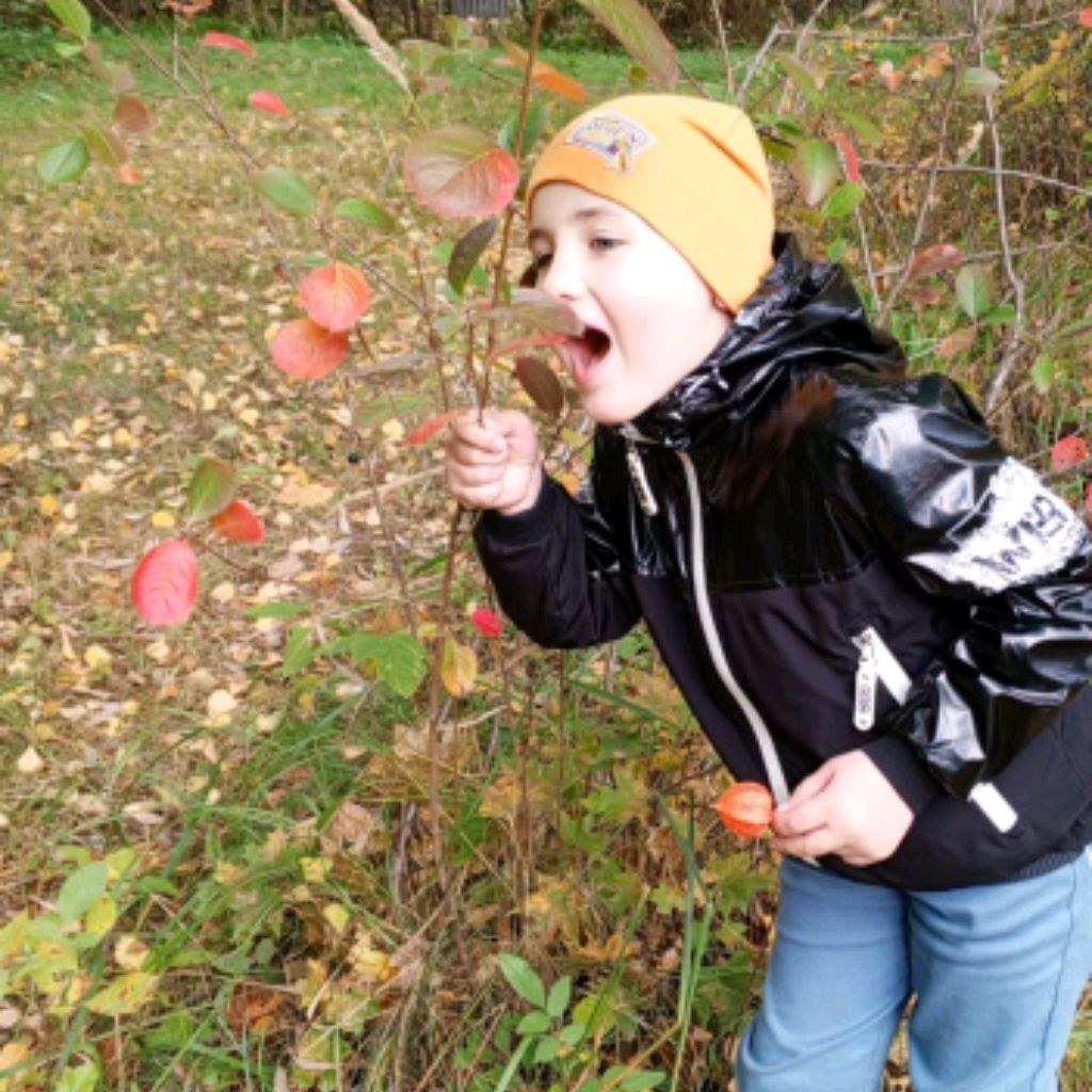 Иконка канала ДАМИР