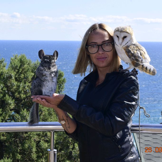 Иконка канала INSIDE love ACTION